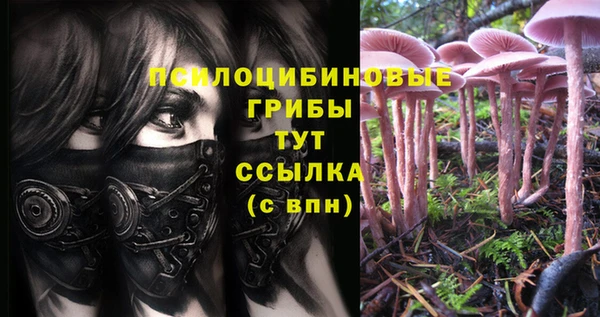 спиды Арсеньев