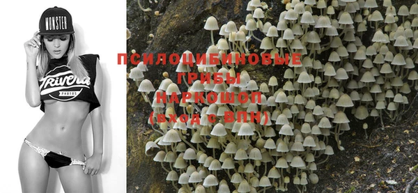 прущая мука Аркадак