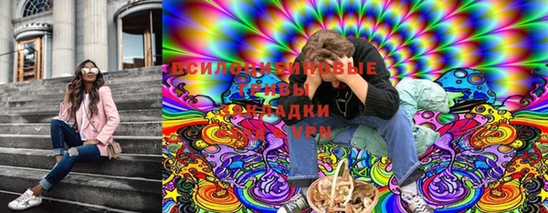 дживик Армянск